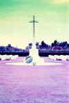 Warcross.gif (82654 byte)