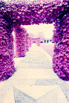 passage-2.gif (109049 byte)