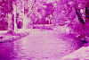 the-river-in-the-park.gif (126710 byte)