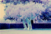 trees.gif (125740 byte)