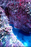 infra-7.gif (120033 byte)