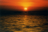 sun-set-2.gif (89645 byte)