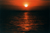 sun-set-3.gif (95710 byte)