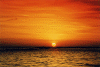 sun-set.gif (76530 byte)